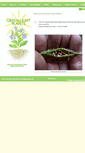 Mobile Screenshot of greenlightplants.com